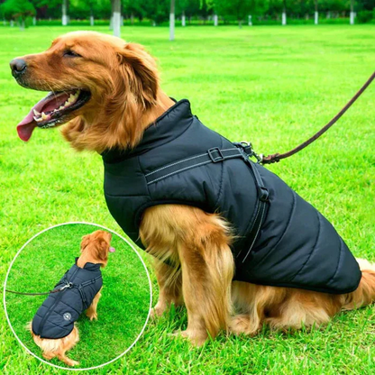 Cold-Weather Dog Coat with Fleece Lining & Leash Attachment — Weatherproof Outerwear for Active Pups, All Breeds, Reflective Safety Trim