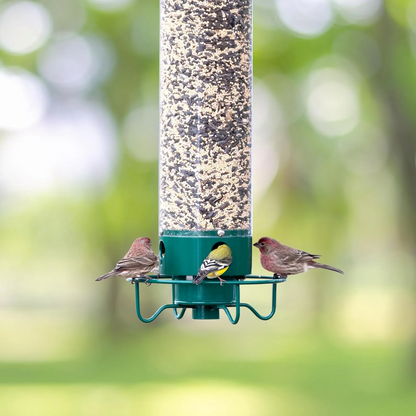 Durable Outdoor Seed Dispenser – Squirrel-Resistant Bird Feeder