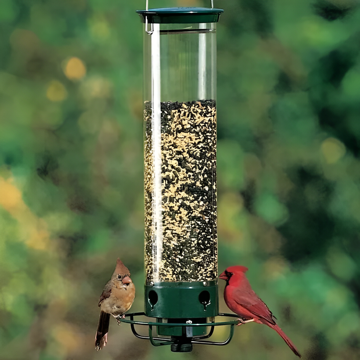 Weighted Rotating Perch Wild Bird Feeder with Anti-Rodent Spin Mechanism for Cardinals, Finches, Chickadees | Hanging Outdoor Seed Station