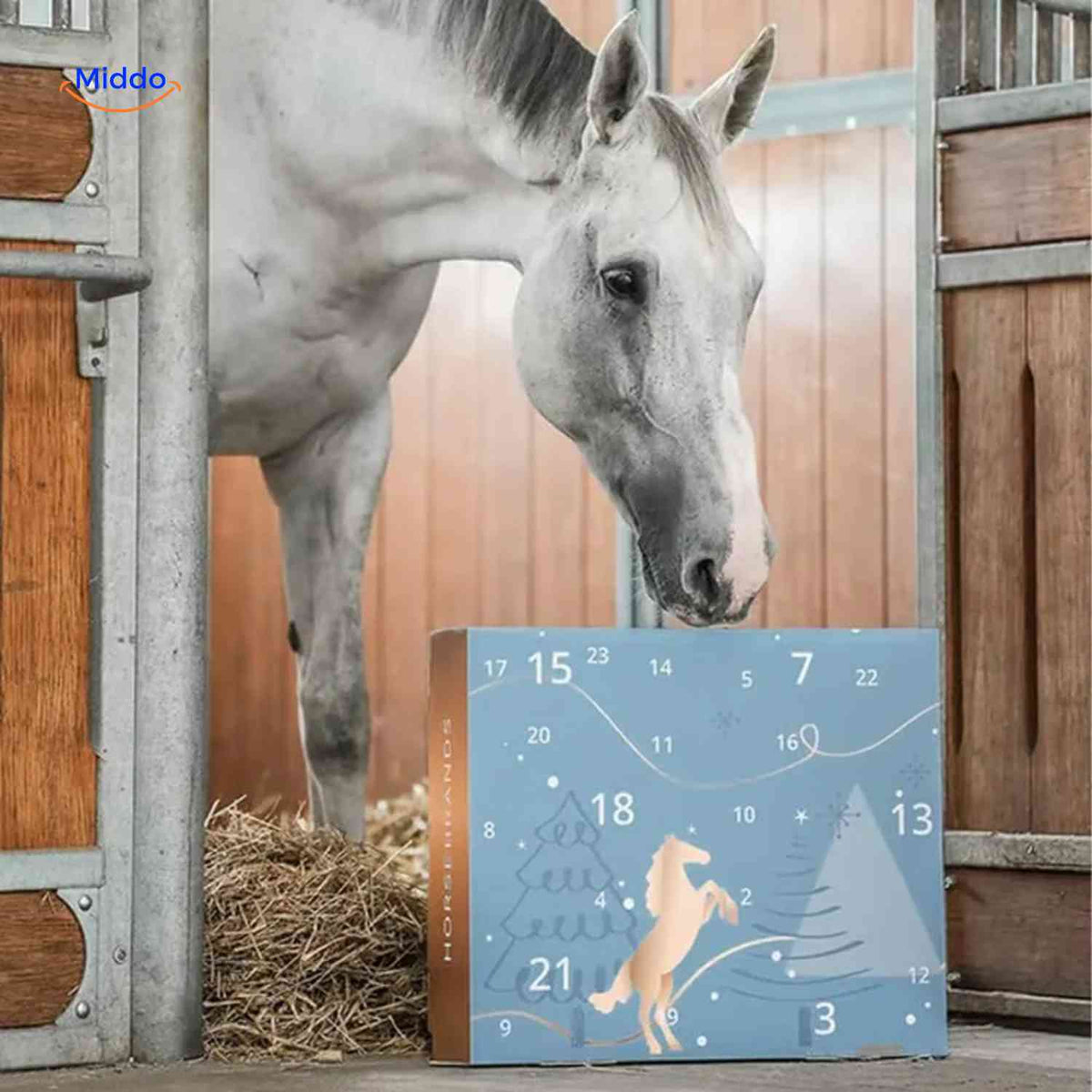 CANTERCHEER – Equestrian Advent Calendar for Holiday Stable Fun