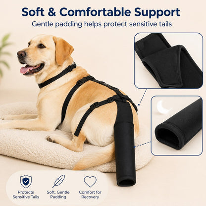 Ortekor Adjustable Dog Tail Protector for Recovery & Daily Walks - Padded Guard for Sensitive Tails