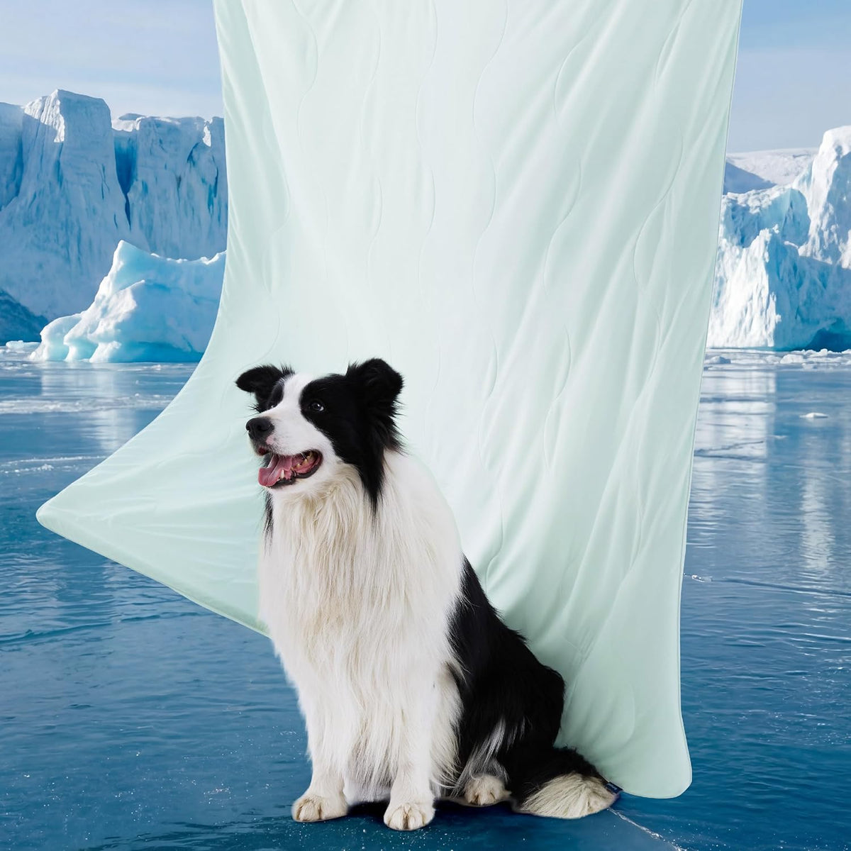Cozy Paws | Cooling Blanket for Large Dogs with Breathable Air-Core Fill | Lightweight & Washable Dog Mat for Summer Comfort