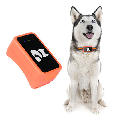 Real-Time Cat & Small Dog Location Monitor with Geo-Fence Alerts, Activity Tracking & No Monthly Fees – Subscription-Free Pet Safety