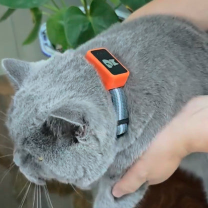 Real-Time Cat & Small Dog Location Monitor with Geo-Fence Alerts, Activity Tracking & No Monthly Fees – Subscription-Free Pet Safety