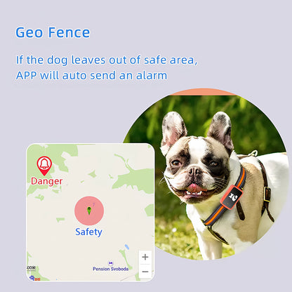 Real-Time Cat & Small Dog Location Monitor with Geo-Fence Alerts, Activity Tracking & No Monthly Fees – Subscription-Free Pet Safety