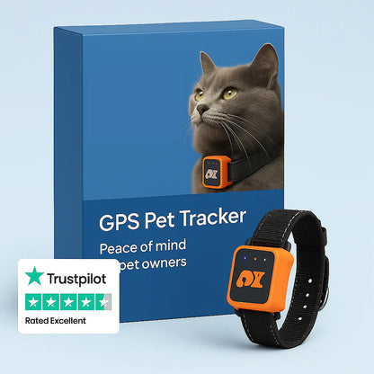 Real-Time Cat & Small Dog Location Monitor with Geo-Fence Alerts, Activity Tracking & No Monthly Fees – Subscription-Free Pet Safety