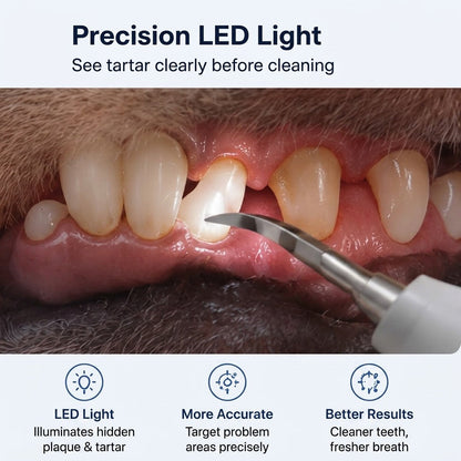 Ortekor Ultrasonic Pet Dental Cleaner for Dogs & Cats – At-Home Tartar Care for Fresher Breath Between Vet Visits