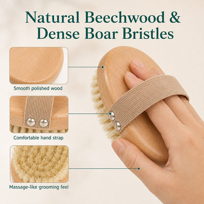 Ortekor Frenchie Daily Grooming Kit for After-Walk & Between-Bath Care - Boar Bristle Brush + Rinse-Free Cleaning Gloves