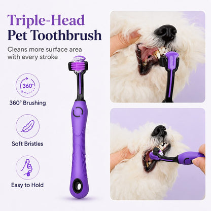 Ortekor 9-Piece Pet Grooming Kit for Dogs & Cats – At-Home Grooming Solution for Shedding, Nail Care & Detangling (Travel-Friendly Case)