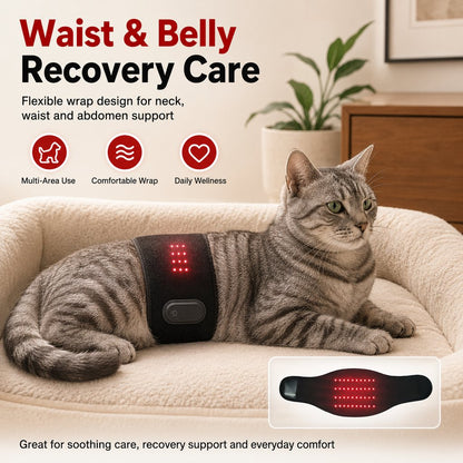 Ortekor Pet Red Light Therapy Belt for Dogs & Cats Neck, Waist & Abdomen Comfort Wrap