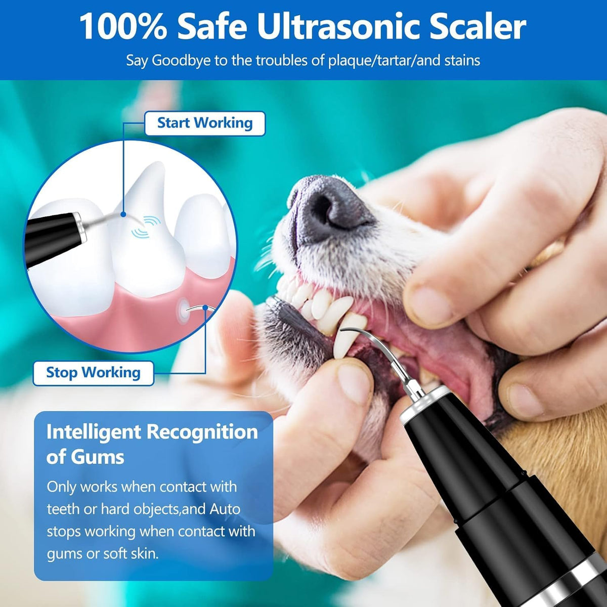Ultrasonic Dog & Cat Dental Scaler for Home Use – Rechargeable Pet Tooth Cleaning Tool for Tartar & Plaque