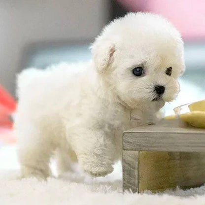Cuddly Lifelike Plush Dog Toy for Children - Ortekor