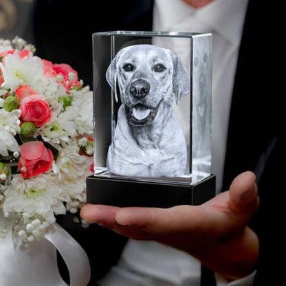 Customizable Crystal Picture Frame for Pet Memorial