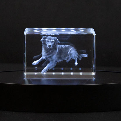 Customizable Crystal Picture Frame for Pet Memorial