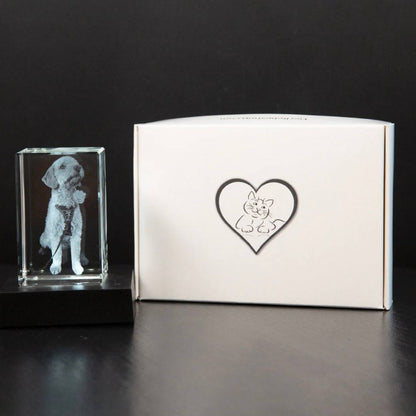 Customizable Crystal Picture Frame for Pet Memorial