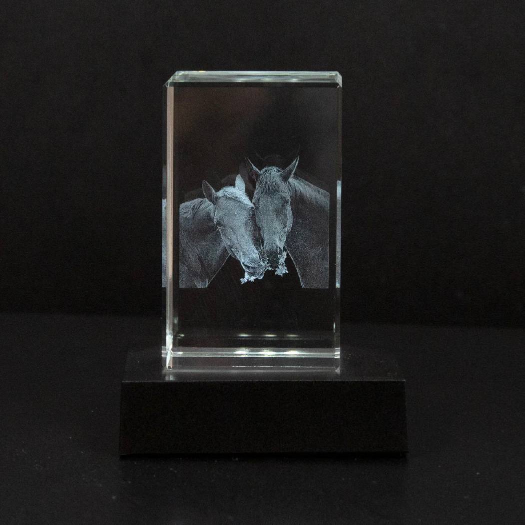 Customizable Crystal Picture Frame for Pet Memorial
