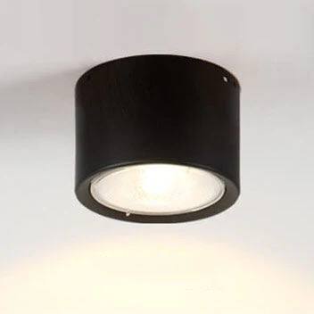 Bright Adjustable Indoor LED Downlight