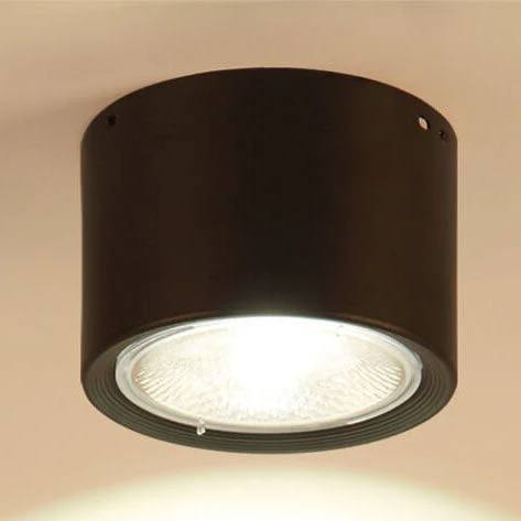 Bright Adjustable Indoor LED Downlight