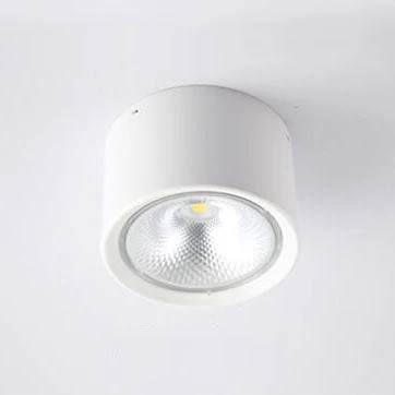 Bright Adjustable Indoor LED Downlight