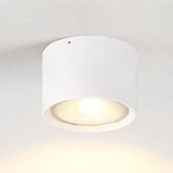 Bright Adjustable Indoor LED Downlight