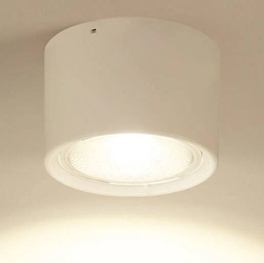 Bright Adjustable Indoor LED Downlight