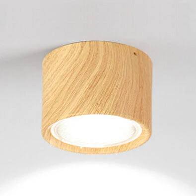 Bright Adjustable Indoor LED Downlight