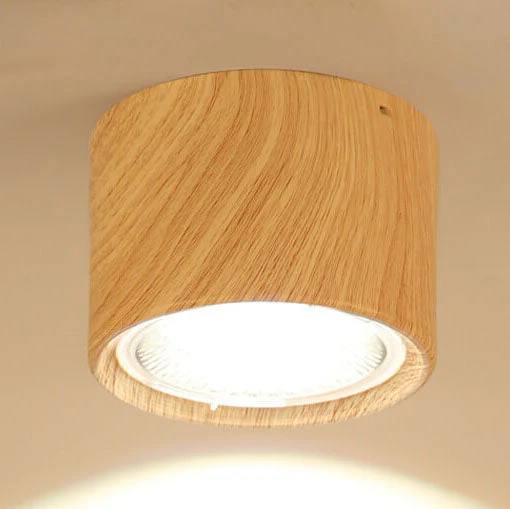 Bright Adjustable Indoor LED Downlight