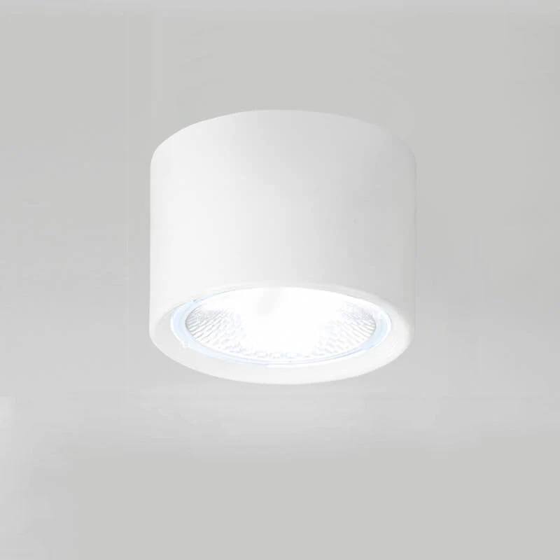 Bright Adjustable Indoor LED Downlight