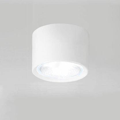 Bright Adjustable Indoor LED Downlight