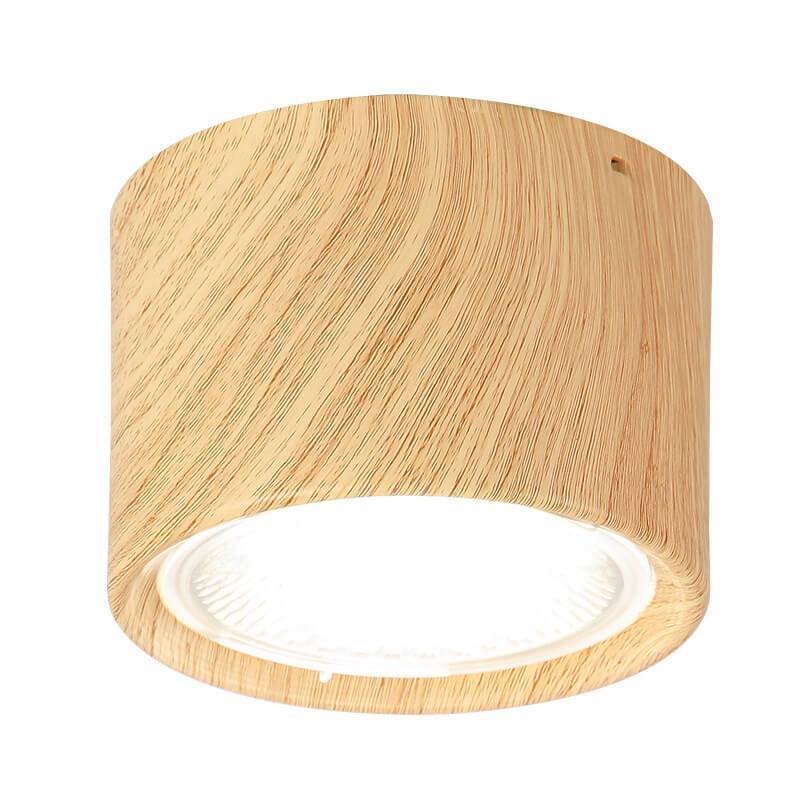 Bright Adjustable Indoor LED Downlight