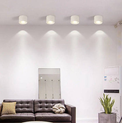 Bright Adjustable Indoor LED Downlight