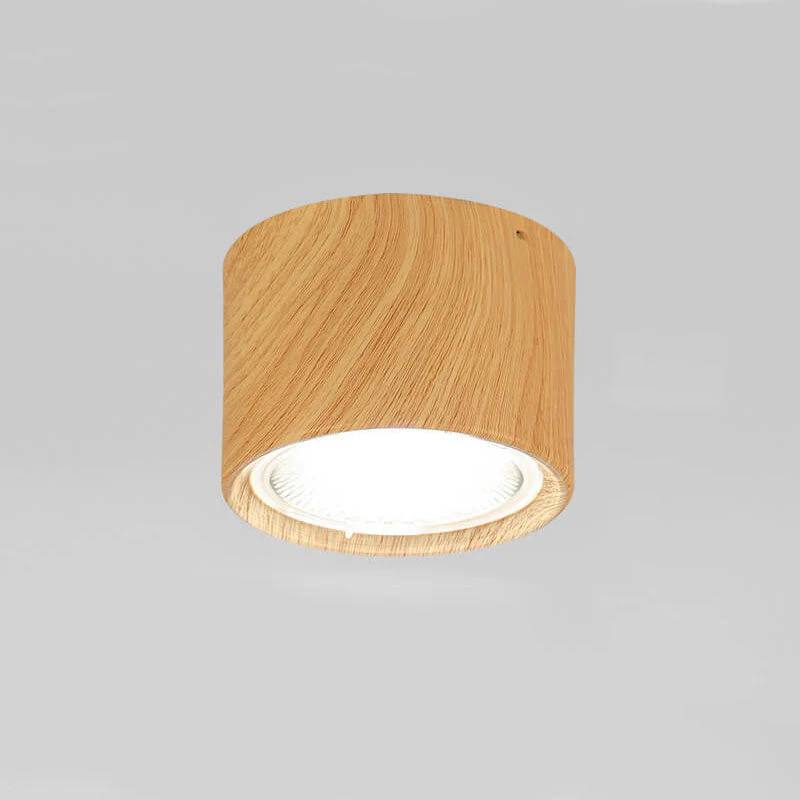 Bright Adjustable Indoor LED Downlight