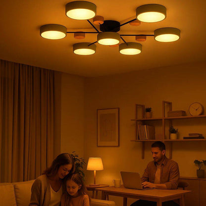 Stylish Nordic LED Ceiling Lamp, Tree Branch Style