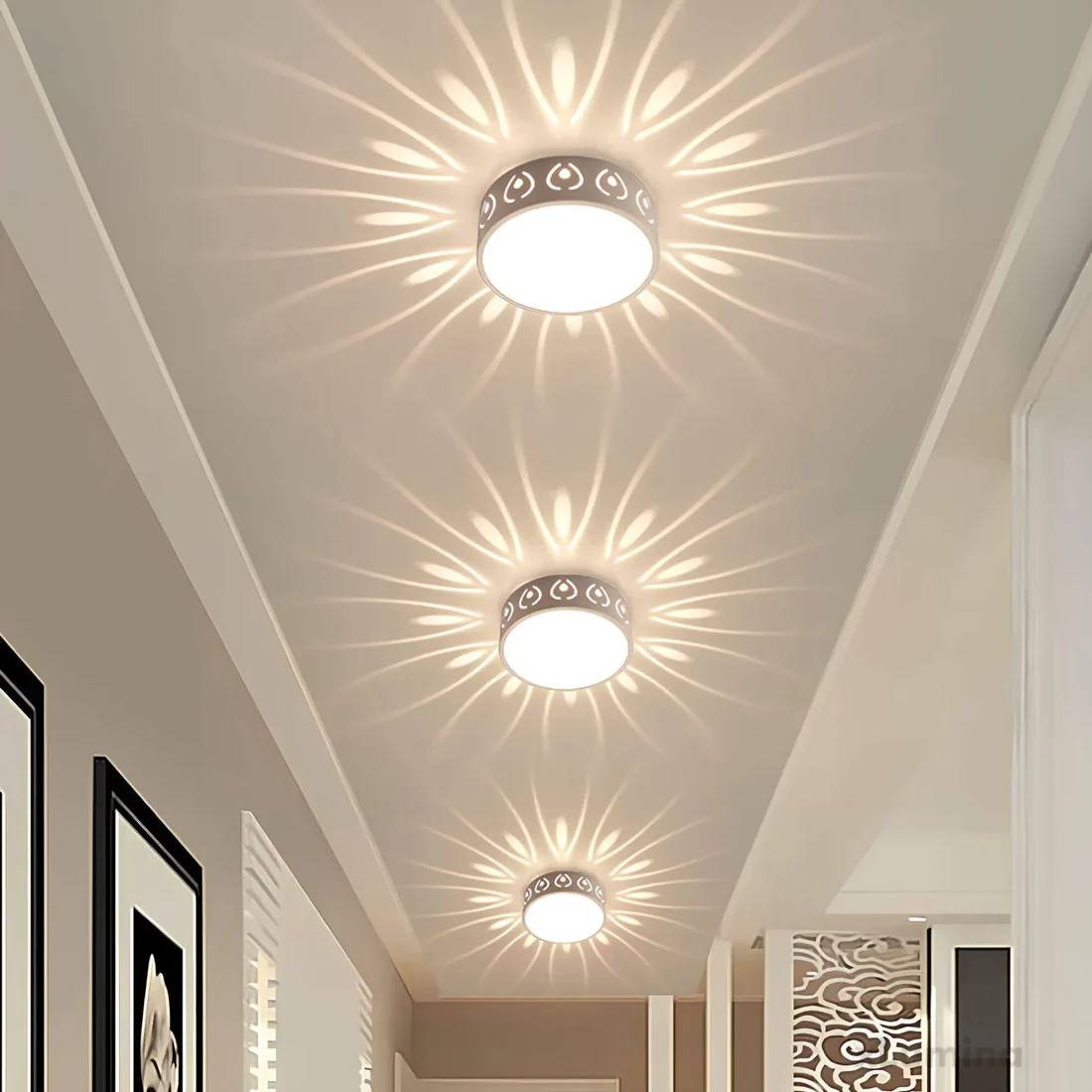 Bright LED Indoor Outdoor Ceiling Lamp