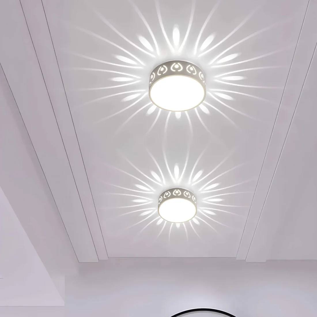 Bright LED Indoor Outdoor Ceiling Lamp