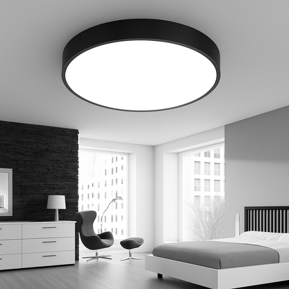 Flush Mount LED Fixture Round Iron Frosted Diffuser Adjustable Brightness Black White Overhead Lighting for Home Office Bedroom Kitchen 24 i