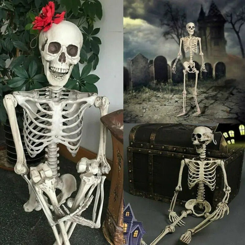 Articulated Halloween Skeleton Figure – Life-Size Posable Bone Decoration for Spooky Scenes & Haunted House Displays