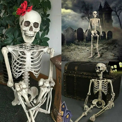 Articulated Halloween Skeleton Figure – Life-Size Posable Bone Decoration for Spooky Scenes & Haunted House Displays