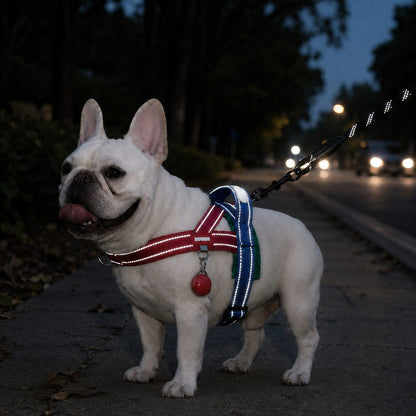 Ortekor No-Choke French Bulldog Harness & Leash Set for Daily Walks - Reflective, Easy-Control Fit for Broad-Chest Dogs