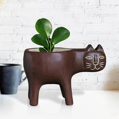 Purrfect Planter