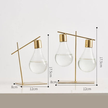 Edison Sprout - Lightbulb Vessel