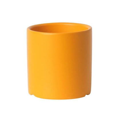 Vibrant Traditional Circular Ceramic Pot Planter