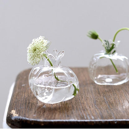 Pomegranate Glass Hydroponic Growth Vessel