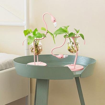 Tropical Flamingo Growth Vessel