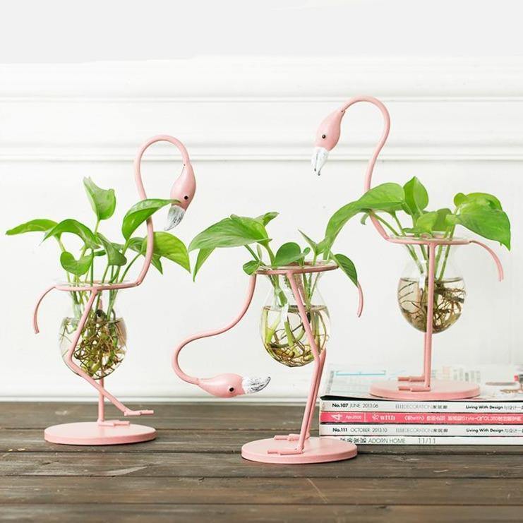 Tropical Flamingo Growth Vessel