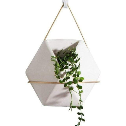 Hanging Geometric Terrarium