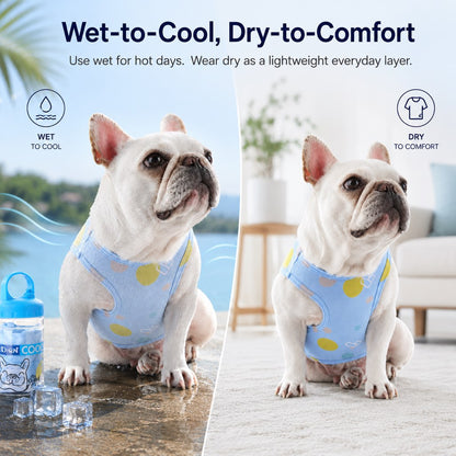 Ortekor French Bulldog Cooling Vest for Hot Summer Walks