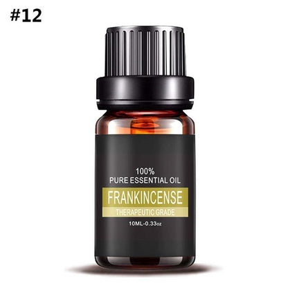 Aromatherapy Essential Oil Set – 100% Pure Plant Extracts for Diffusers, Massage & Relaxation – 0.34 fl oz Bottles