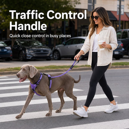 Ortekor Reflective Dog Car Seat Belt Leash for Backseat Travel & Daily Walks - Shock-Absorbing Bungee Tether to Help Reduce Pulling & Driver Distraction