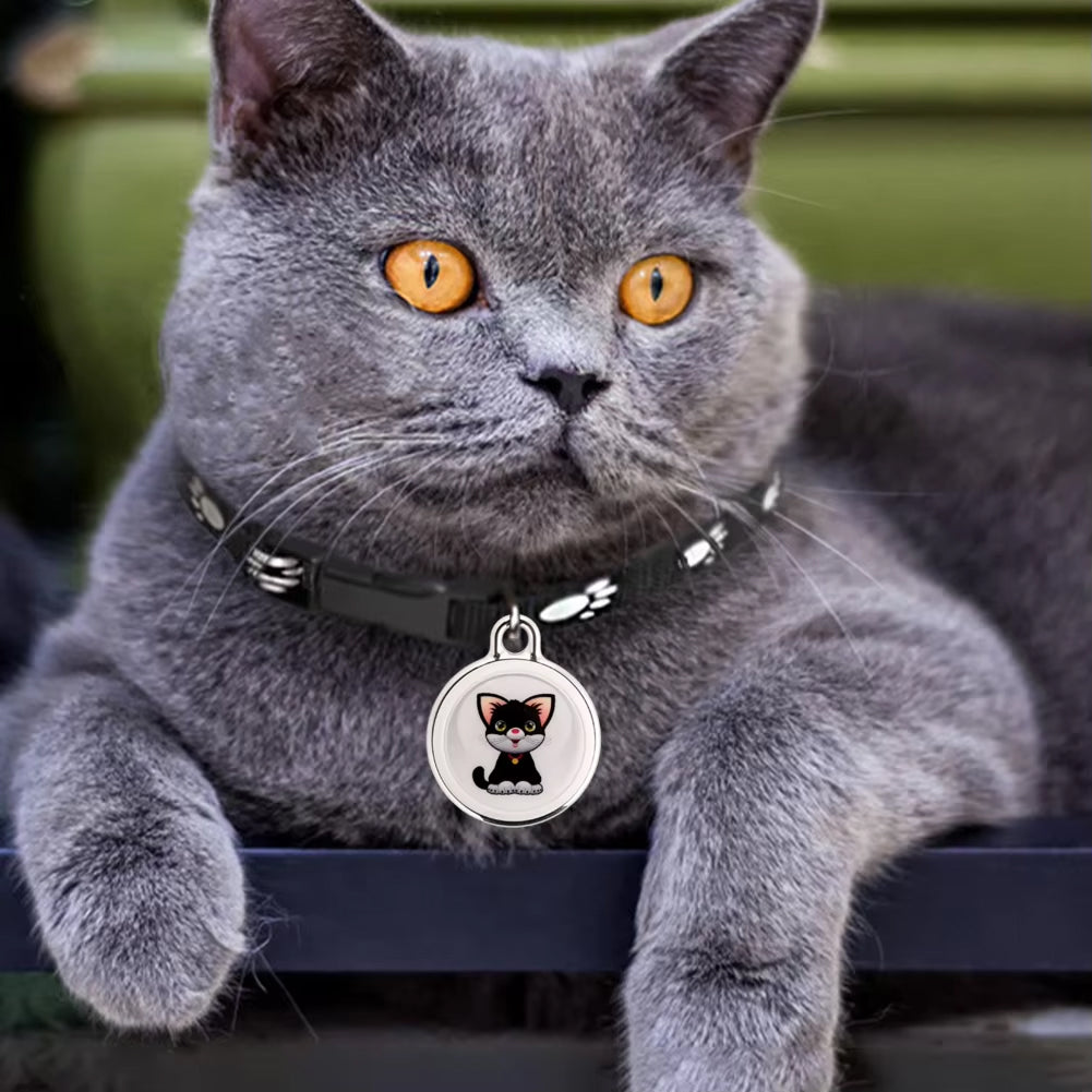 Bluetooth Cat Locator Tag with GPS Positioning and Sound Alert for Indoor & Outdoor Felines